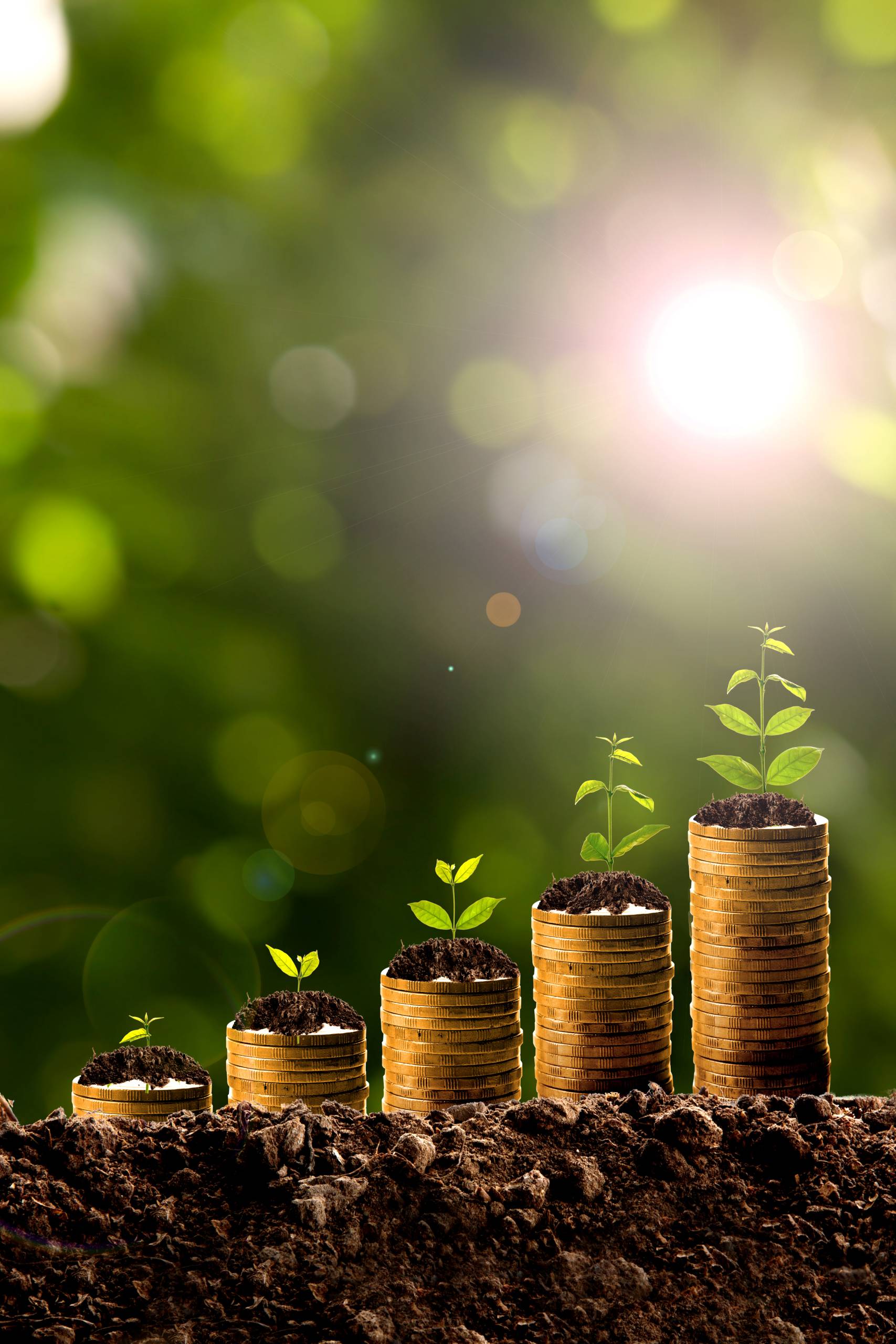 Money growing in soil Money growing in soil